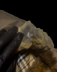 2000’s Burberry Black Label Real Fur Jacket - Khaki